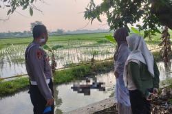 Jombang Geger! Pria Lansia Tewas Mengapung di Sungai Megaluh