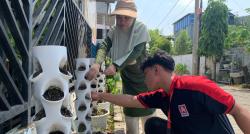 Keren! Warga di Medan Sulap Bank Sampah Jadi Kebun Herbal dan Sayuran