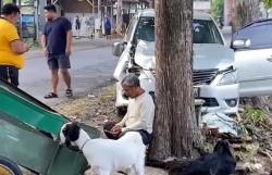 Kecelakaan Ponorogo Hari Ini, Mobil Tabrak Gerobak Kambing Sampai 4 Ekor Mati