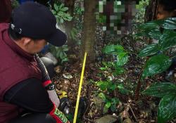 Pegawai Magang Puskesmas Kapan Ditemukan Tewas di Atas Pohon