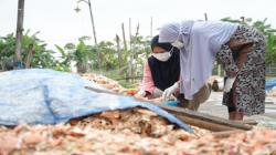 Pupuk Cair dari Limbah Rajungan, Inovasi PHE ONWJ untuk Masyarakat Pesisir