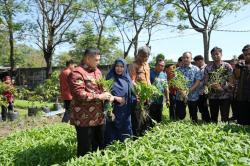 Wali Kota Makassar Genjot Urban Farming, Lorong Sempit Jadi Lahan Produktif