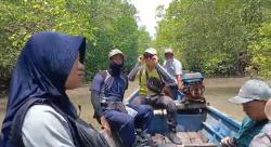 Mangrove Tersembunyi di Banyuwangi Mulai Terkuak, Hutan Produksi Ini Siap Jadi Wisata Edukasi Baru