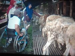 Jelang Iduladha 2026, Pedagang Kambing di Bantul Gandeng Difabel