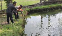 Diduga Terpeleset, Bocah 8 Tahun di Pringsewu Tewas Tenggelam