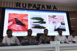 Tergiur Rp10 Juta, ABK Penyelundup Satwa Dilindungi Terancam 15 Tahun Penjara