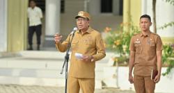 Bangkit dari Bencana, Wabup Pidie Jaya: Sarjana Harus Jadi Pencipta Lapangan Kerja