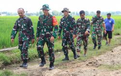Komandan Satgas TMMD Pantau Ketat Progres Pengecoran Jalan: Harus Benar-benar Berkualitas