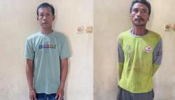 Kejar-kejaran di Hutan Banyuwangi, Polisi Ringkus 2 Pelaku Pencuri Kayu Jati 5 Orang Melarikan Diri