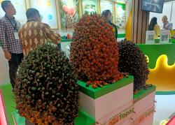 Data Terbaru: 9 Provinsi Kuasai 86,8 Persen Produksi Kelapa Sawit Nasional
