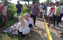 Pria Lansia Tewas Tertimpa Rumput Sapi di Jombang, Polisi dan Tim Medis Datangi Lokasi