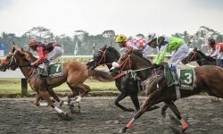Piala Raja Mangkunegaran Perdana Digelar di Kabupaten Semarang, 147 Kuda Siap Bertarung