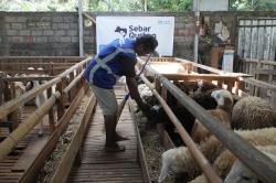 Jelang Idul Adha, Ini Cara Pilih Hewan Kurban yang Sah Sesuai Syariat dan Penyaluran Tepat Sasaran