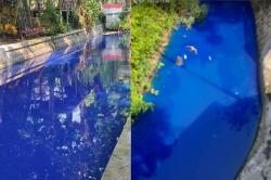 Viral Air Sungai di Bojonegoro Berwarna Biru, Diduga Tercemar Limbah Cat