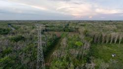 PLN UIP KLT Perkuat Legalitas Tower SUTT 150 kV di Kotabaru
