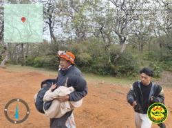 Lemas Saat Ditemukan, Pendaki Perempuan yang Hilang di Gunung Mutis Terpaksa Digendong