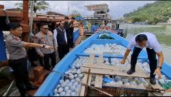 Polda Sumbar Gagalkan Penyelundupan Ribuan Ikan Hias Ilegal Asal Mentawai, Siap Kirim ke Singapura