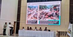 Bukan Sekadar Faktor Alam, WALHI Bongkar Penyebab Utama Banjir Bandang di Tapanuli