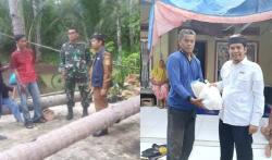 Pohon Kelapa Tumbang, Dua Rumah Warga Cintakarya Rusak Parah