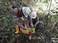 Perkuat Sistem Kelistrikan Berau, PLN Survei Jalur Transmisi 150 kV