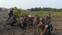 Wujudkan Indonesia Asri, TNI Kodim 0623/Cilegon Tanam Pohon Mangrove di Pesisir Pula Panjang