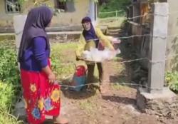 Akses Warga Ditutup Kawat Berduri, Gang di Cikedal Pandeglang Jadi Sorotan