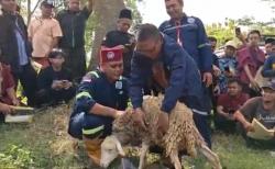 Jelang Idul Adha, Kebutuhan Juleha di Ponorogo Masih Tinggi