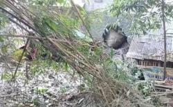 Bikin Syok! Batu Raksasa Longsor dari Bukit Menghantam Rumah Warga Watukumpul Pemalang