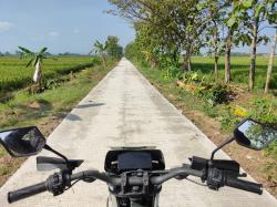Ngegas Angkut Hasil Panen, Petani Desa Puro Kini Tak Takut Terpeleset