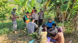 Warga Hilang di Hutan Binangun Cilacap Ditemukan Selamat, Tim SAR Sisir Lokasi dengan Drone dan K9
