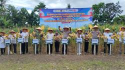 Panen Raya Jagung di Pangkep Capai 24 Ton, Kapolres Klaim Produksi Lampaui Target