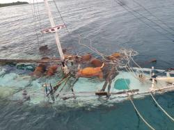 KM Bintang Kayuadi Tenggelam di Selayar, Muatan Kopra, LPG dan Sapi Ikut Hanyut