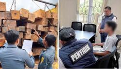 Gakkumhut Sulawesi Seret Sopir dan Pemilik Kayu Ilegal ke Jaksa