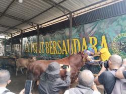 Tak Disangka, Penjualan Hewan Kurban di Depok Naik di Tengah Kelesuan Ekonomi