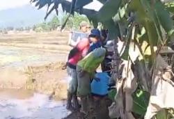 Geger Penemuan Bayi Hidup dalam Karung Plastik di Pinggir Sawah Cianjur