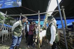 Cegah PMK dan LSD, Lebih 100 Lapak Hewan Kurban di Surabaya Diperiksa Jelang Iduladha 2026