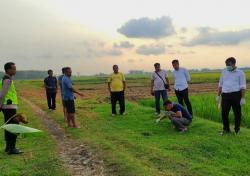 Innalillahi, Petani di Pulokulon Tewas Tersambar Petir Saat Pulang dari Sawah