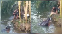 Pencari Lokan di Pasaman Barat Tewas Diterkam Buaya, Korban Ditemukan 20 Meter dari LKP