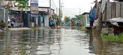 Banjir Rob Rendam Tambak Cemandi, Jalan Desa dan Pemukiman Tergenang