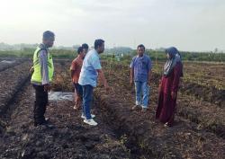 Kelelahan dan Asma Kambuh, Petani di Karangrayung Grobogan Meninggal di Sawah