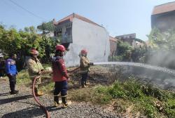 Api Muncul di Lahan Kosong Kota Probolinggo, Indikasi Pembakaran Rumput