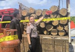Polres Bojonegoro Ungkap Kasus Pembalakan Liar di Hutan Bojonegoro, Puluhan Batang Kayu Diamankan