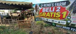 Tarik Minat Pembeli, Penjual Kambing Kurban Beri Bonus 1 Ekor, Tiap Beli 2 Kambing Kurban
