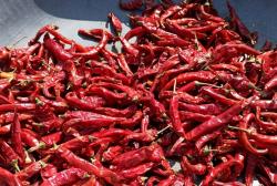 Harga Cabe Merah Besar di Tulungagung Lebih Tinggi Dibanding Blitar, Selisih Rp4.000 per Kilogram