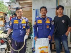Damkar Indramayu Evakuasi Ular Coros yang Sembunyi di Warung Milik Warga Juntinyuat