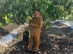 Siap Siap, Grobogan Agro Expo 2026 Digelar Mulai 3 Juni, Tampilkan Inovasi dan Teknologi Pertanian