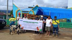 Iduladha Penuh Berkah, PT SCM Distribusikan 52 Sapi Kurban ke Berbagai Wilayah Sulawesi