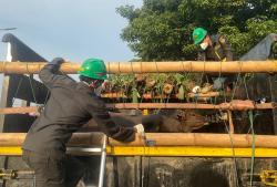 Jelang Iduladha 1447 H, Karantina Jateng Perketat Pengawasan Lalu Lintas Hewan Kurban