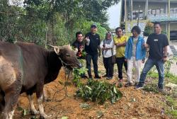 Iduladha 2026: IJTI Kepri Kurban 1 Sapi dan 4 Kambing untuk Masyarakat Batam