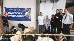 Idul Adha 2026, Warga Sekitar DMall Depok Kebagian 7 Ekor Hewan Kurban